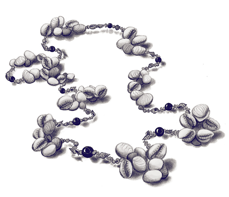 Illustration einer Muschelkette